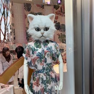 Meet your Posher, Jennifer